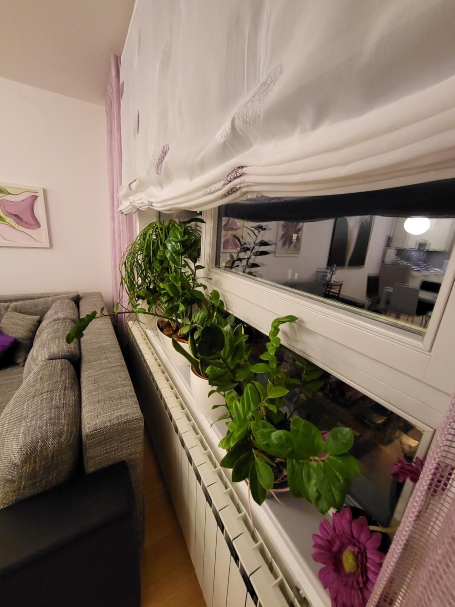 Apartman Jarun Lake Lux Zagabria Esterno foto