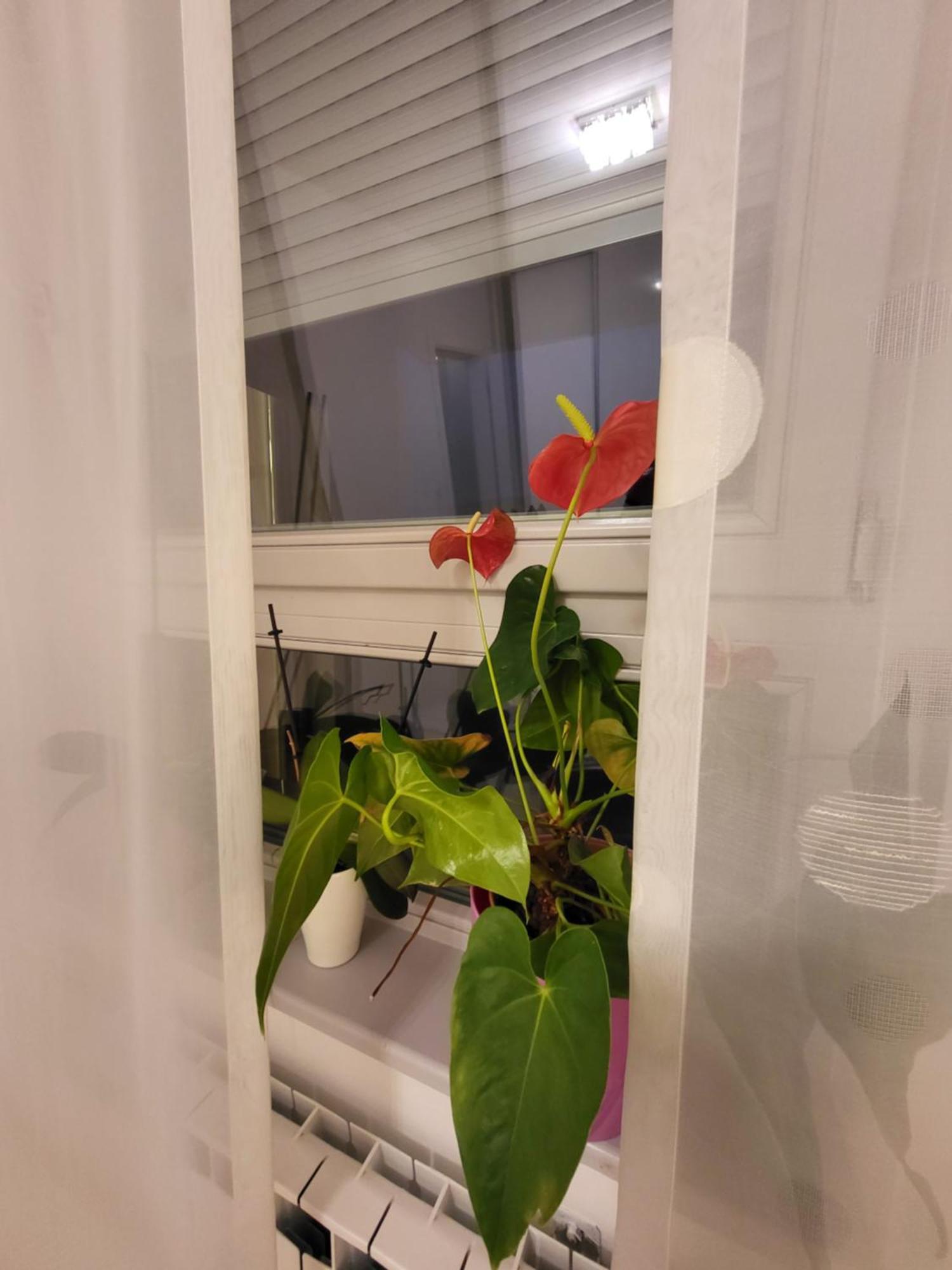 Apartman Jarun Lake Lux Zagabria Esterno foto