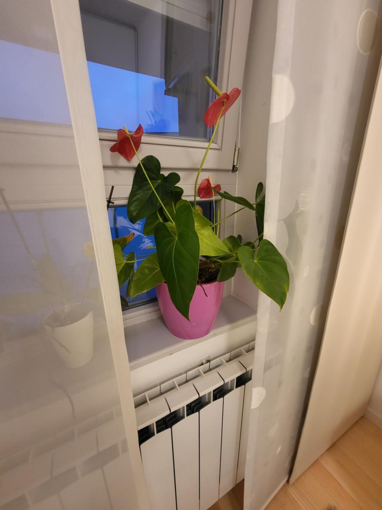 Apartman Jarun Lake Lux Zagabria Esterno foto